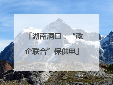 湖南洞口：“政企联合”保供电